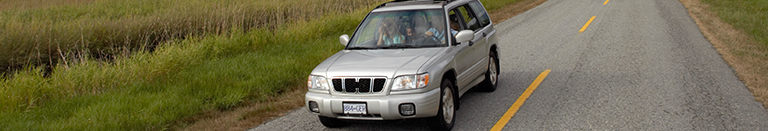 For Your Auto